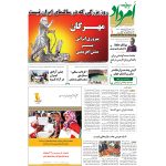 بایگانی هفته‌نامه امرداد سال 1395 (مجلد) - Image 14