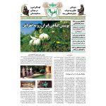 بایگانی هفته‌نامه امرداد سال 1400 (مجلد) - Image 8