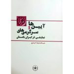 کتاب آیین‌ها و سرگرمی‌های نمایشی در ایران باستان